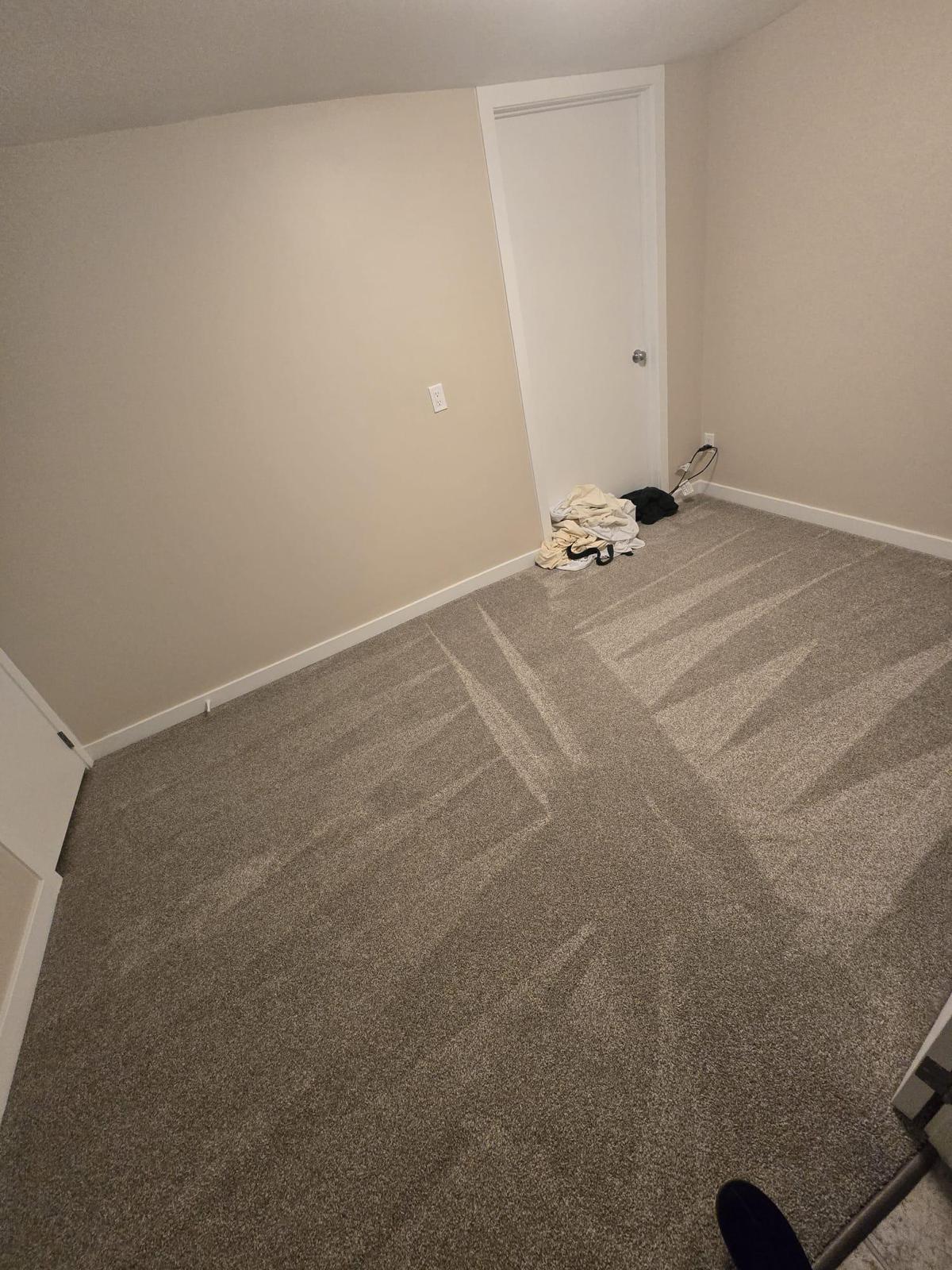 Carpet — Vacuum & Refresh
